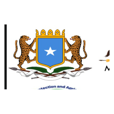 Federal Government of Somalia